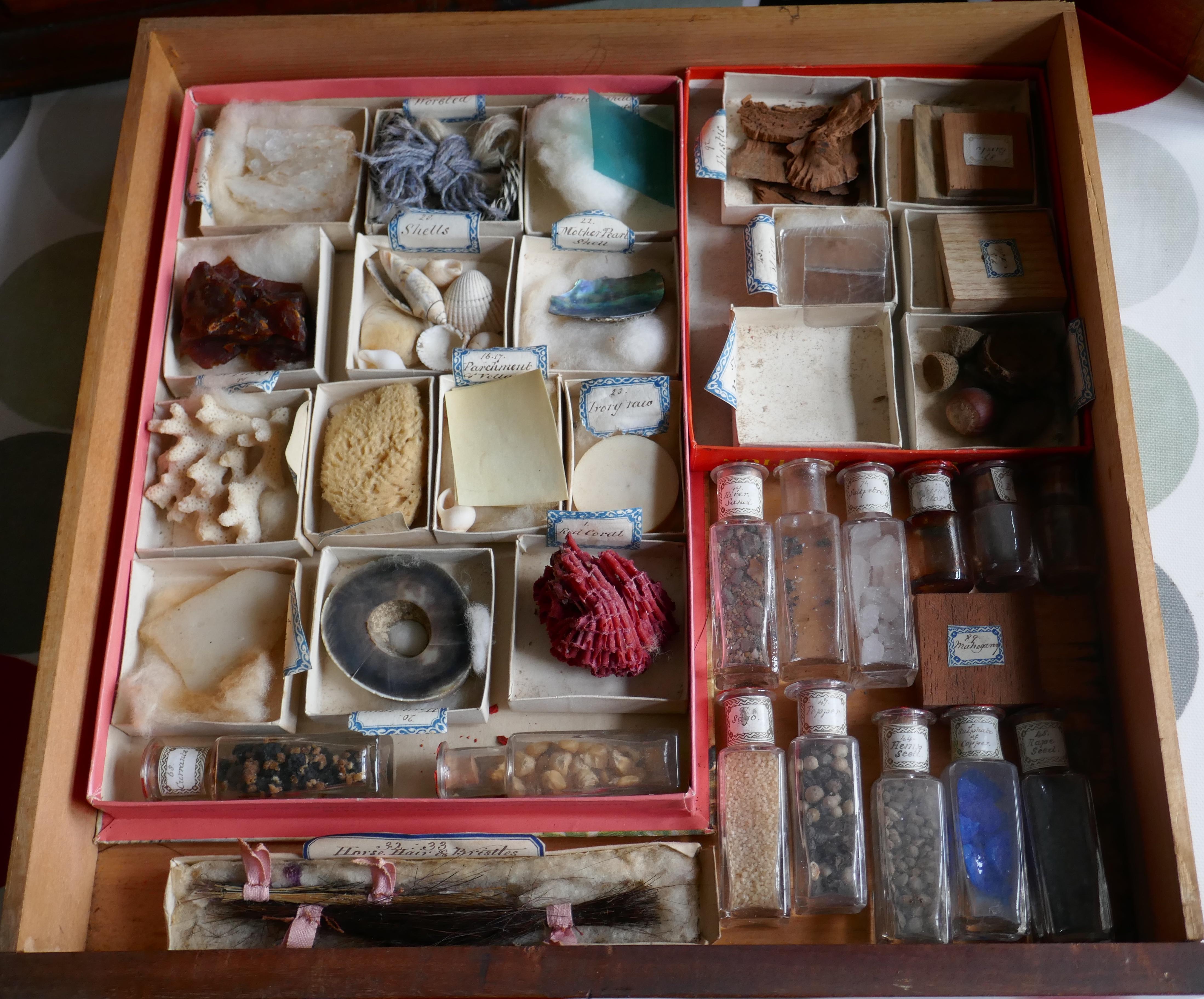 antique collectors cabinet