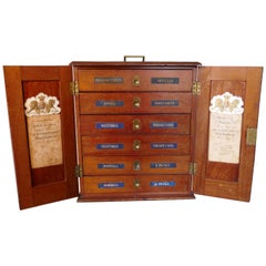 Gabinetto da collezione vittoriano, "Museo portatile" con contenuto