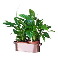 Antique Victorian Copper "Crocus" Planter