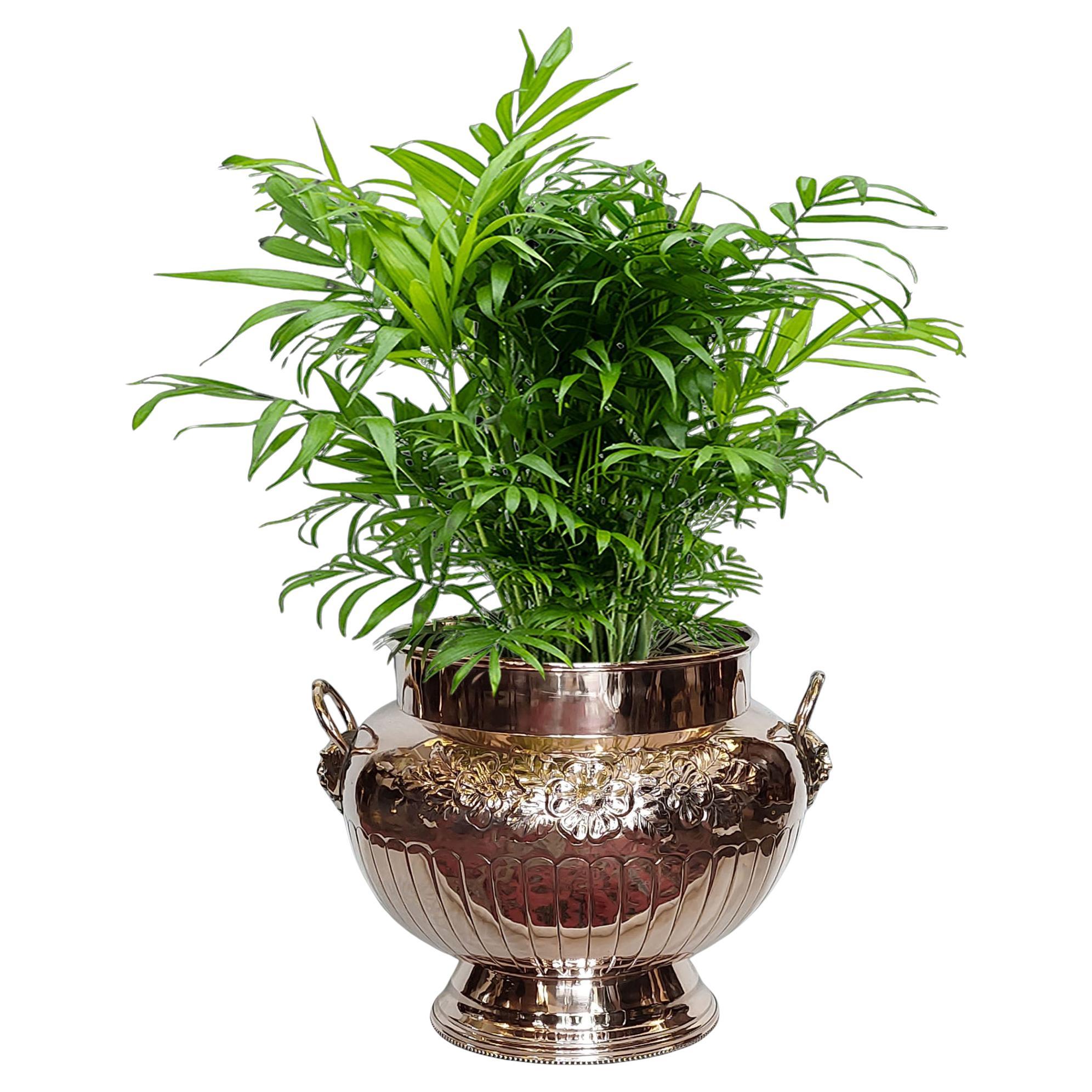 Victorian Copper Planter Log Bucket