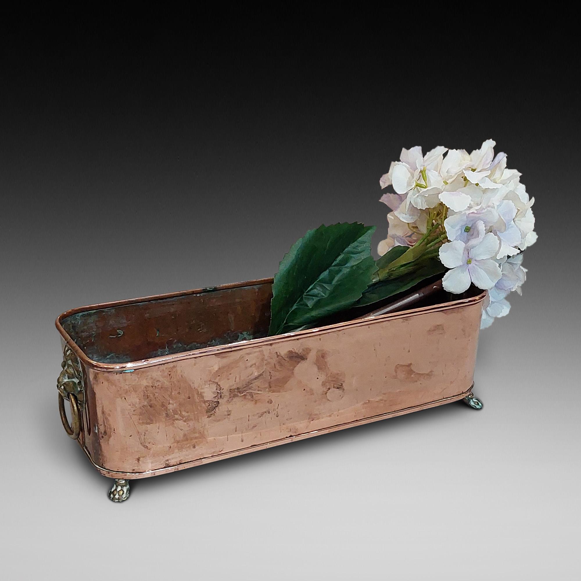 Victorian Copper Planter Trough with Brass Lion Head Ring Handles and Lion Paw Feet - 14.5