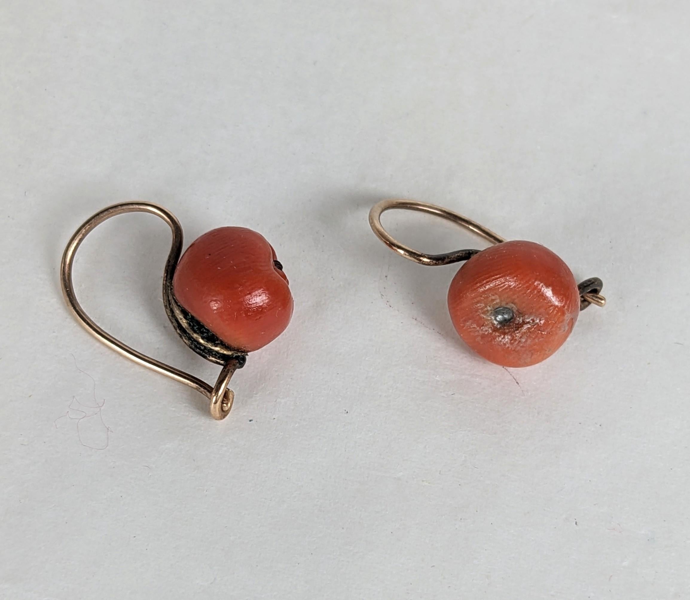 Orecchini di corallo vittoriani della fine del XIX secolo. Corallo autentico intagliato a forma di mela, incastonato in oro 14k con fili originali. Il bocciolo misura 3/8