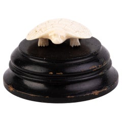 Victorian Curio Mounted Turtle Sculpture Carving Early 19th Century