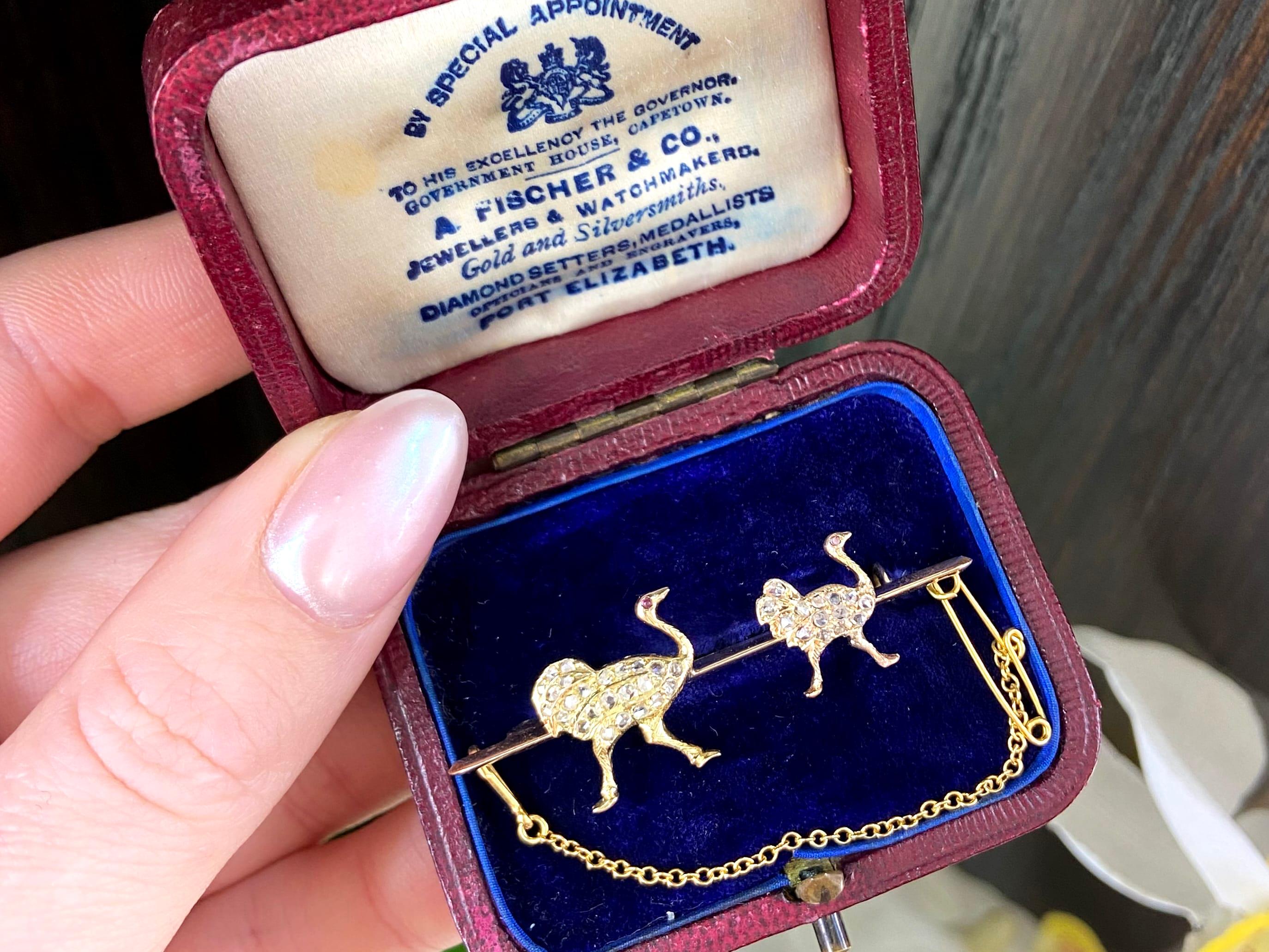 Cabochon Victorian Diamond and Amethyst Yellow Gold Ostrich Brooch For Sale