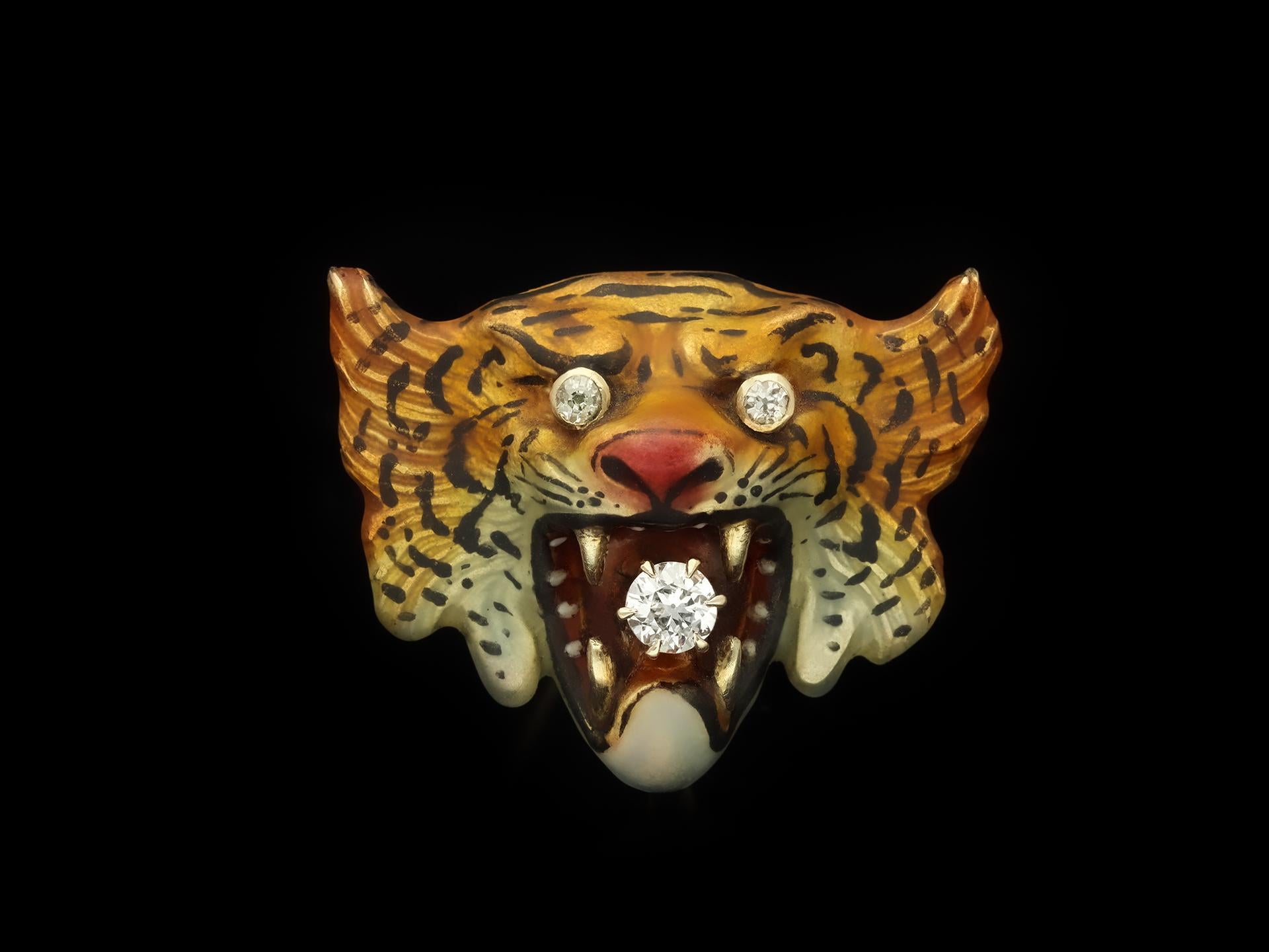 tiger with gold fang