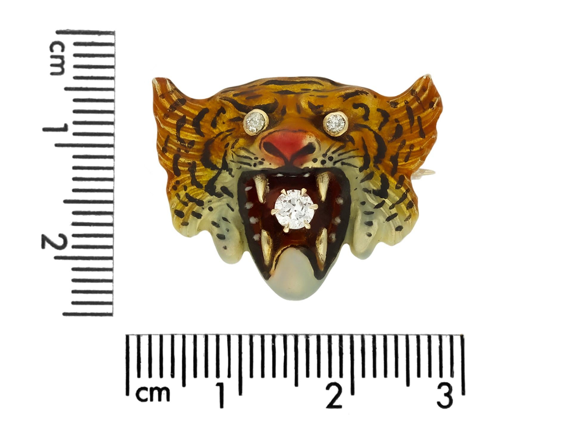 tiger gold fang