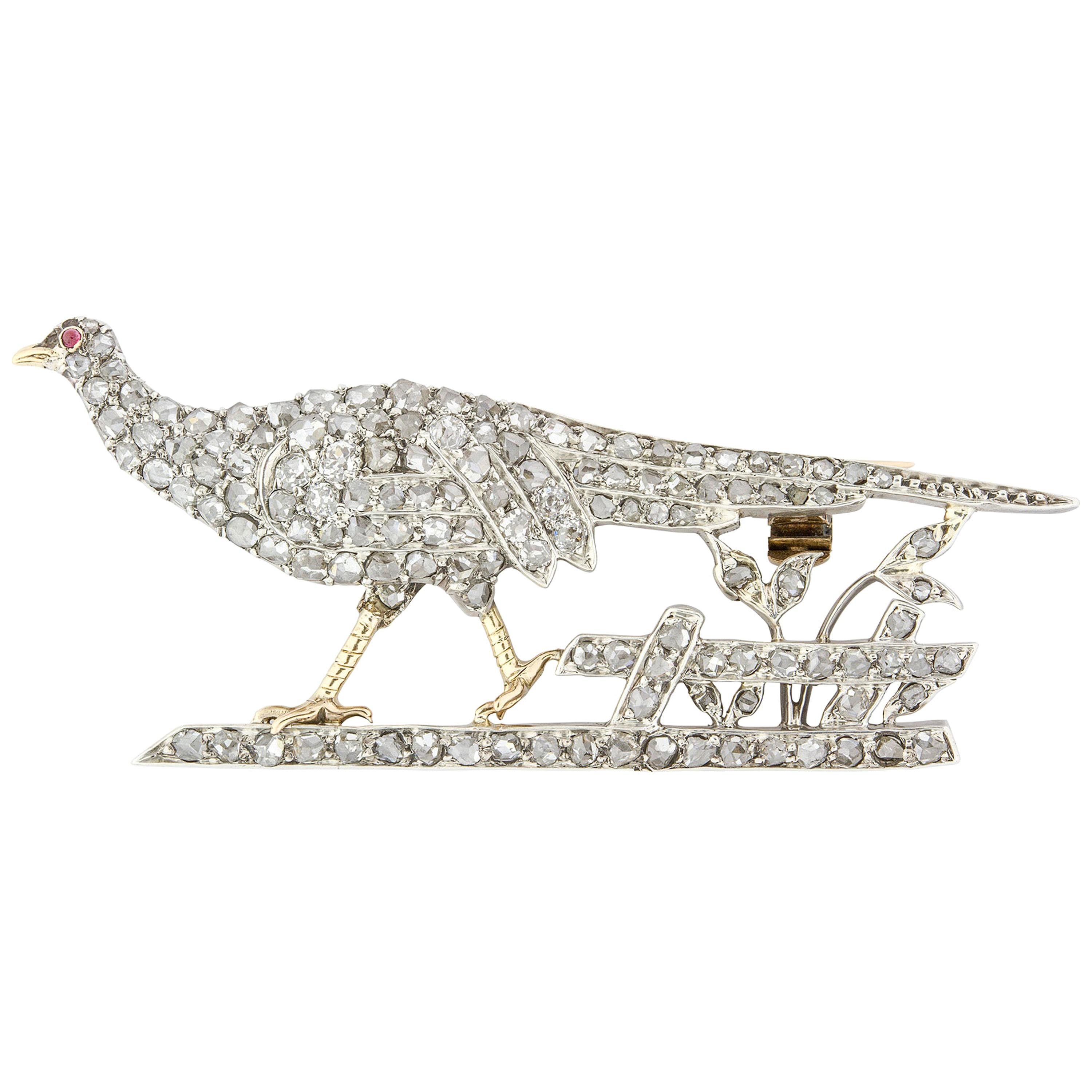Victorian Diamond Pheasant Brooch
