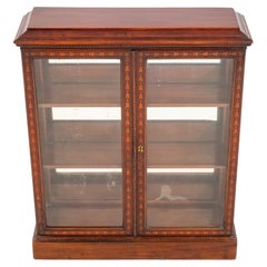 Victorian Display Cabinet Glazed Bookcase circa 1890