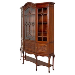 Victorian Display Cabinet Mahogany Bookcase 1900