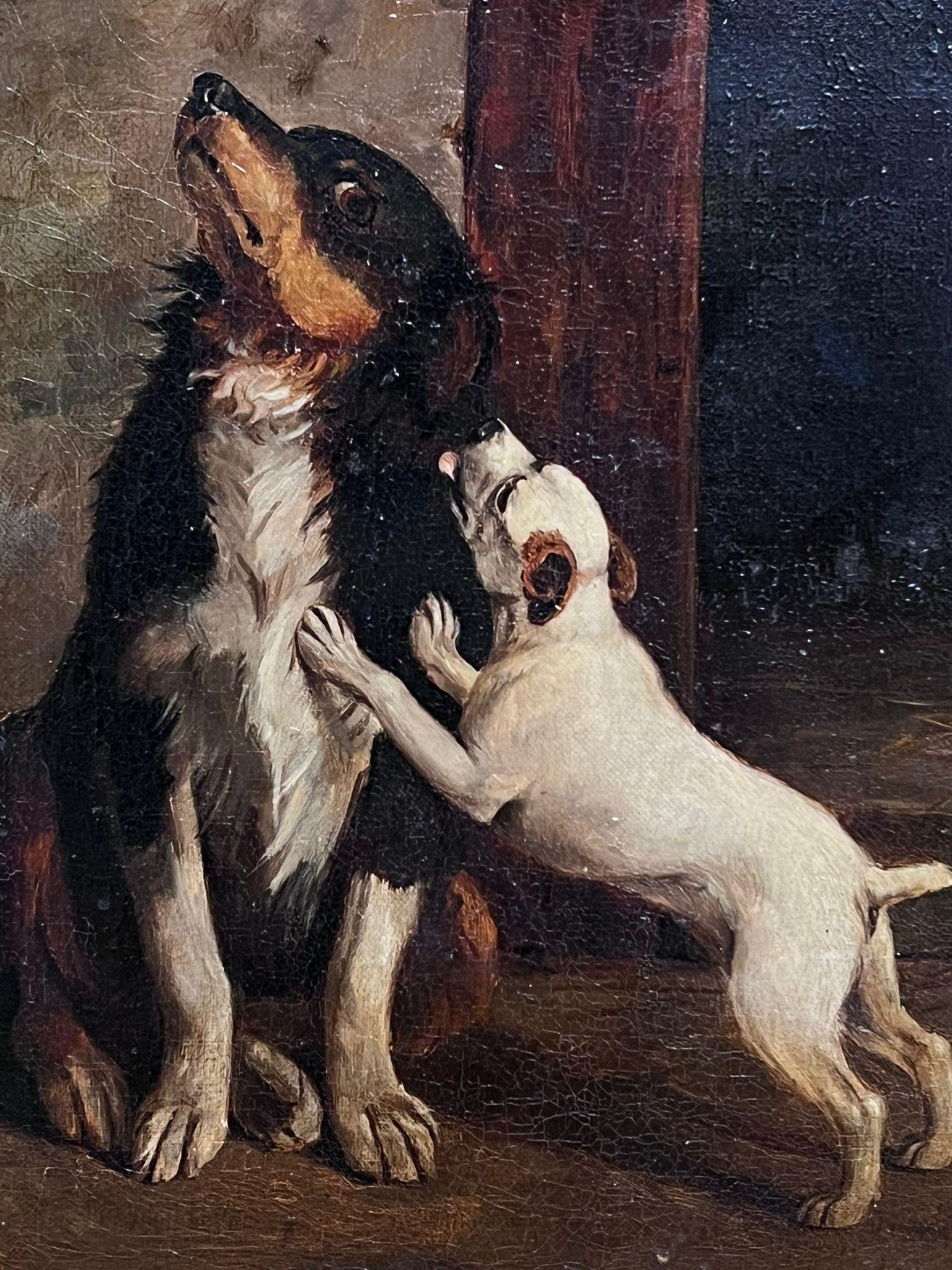 The Young Puppy
British School, 19th century
indistinctly signed with a monogram
oil on canvas, framed
framed: 18.5 x 21 inches
canvas: 14 x 16 inches
provenance: private collection, UK
condition: very good and sound condition