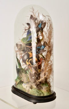 Victorian Dome Featuring Taxidermy Song Birds, England 19th C