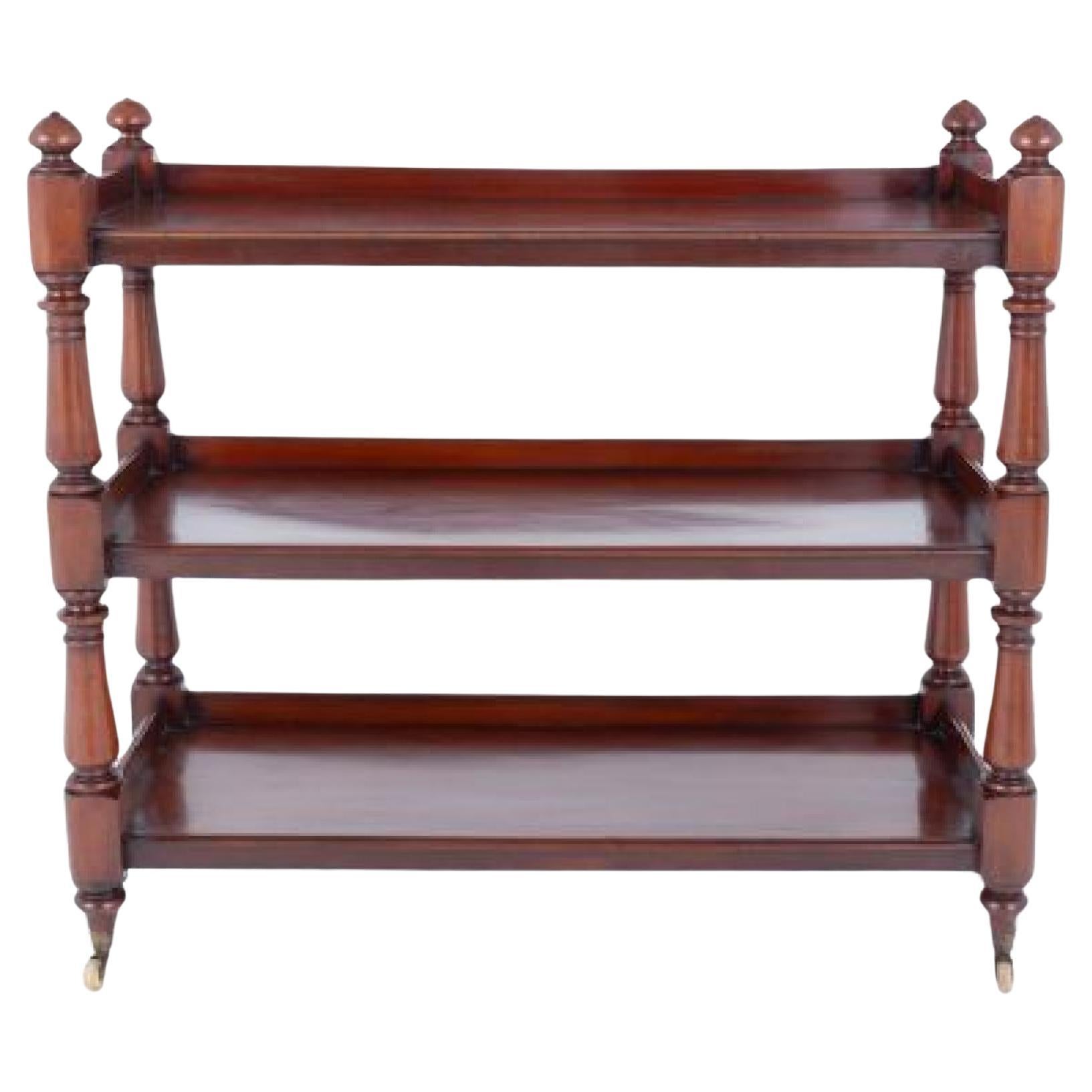 Victorian Dumb Waiter Book Shelf Mahogany 1860 For Sale