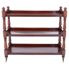 Victorian Dumb Waiter Book Shelf Mahogany 1860