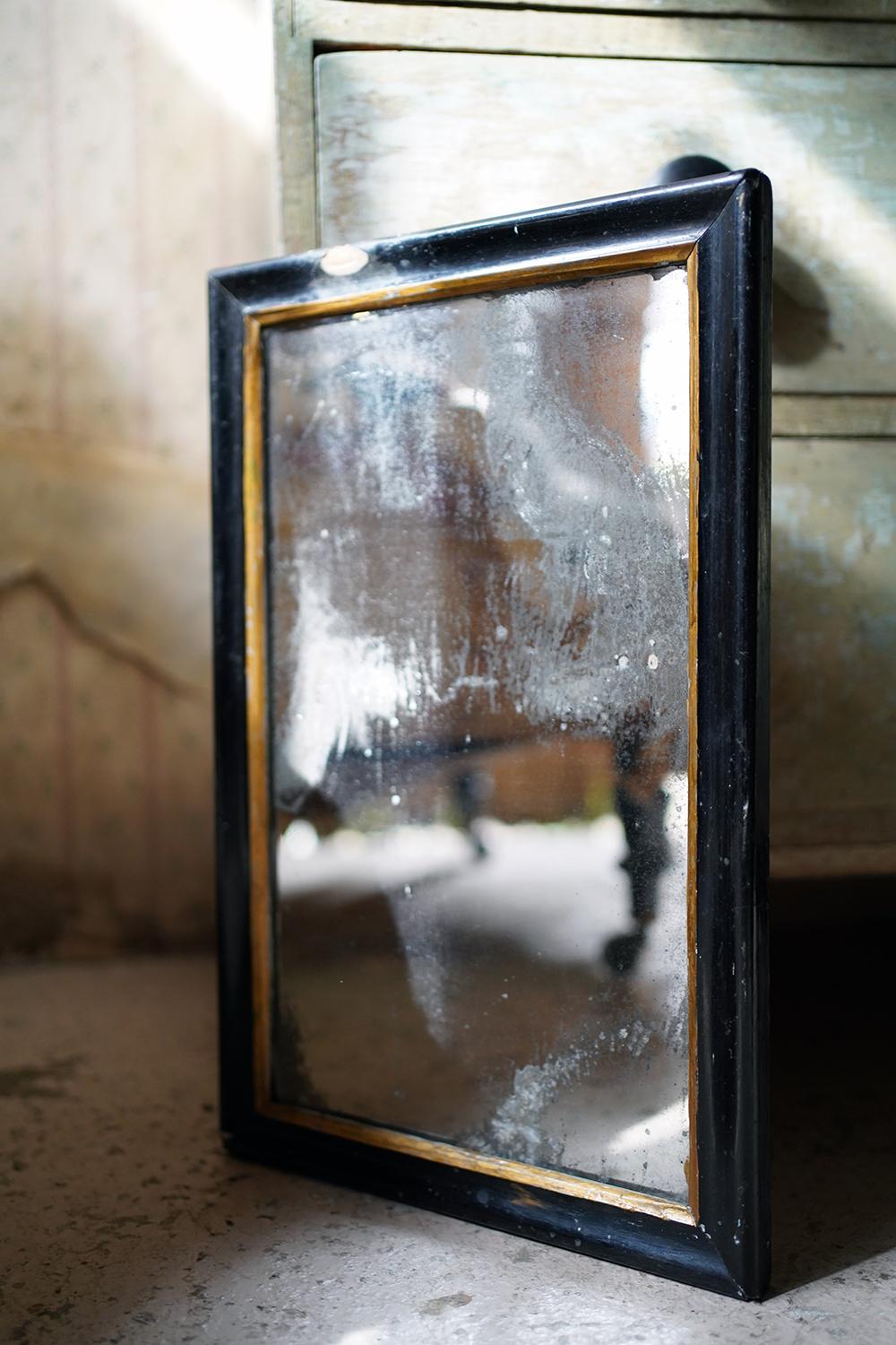 Beech Victorian Ebonised Mercury Plated Rectangular Wall Mirror c.1875-85 For Sale