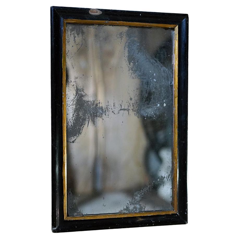 Victorian Ebonised Mercury Plated Rectangular Wall Mirror c.1875-85 For Sale