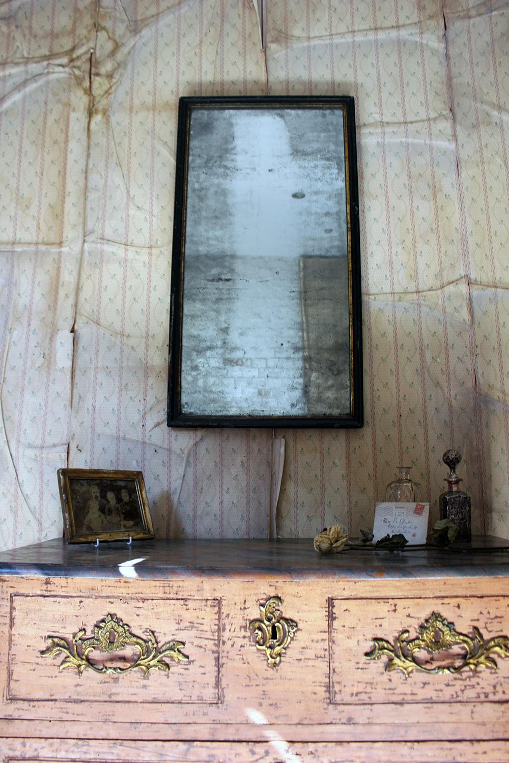 Victorian Ebonized Mercury Plated Rectangular Wall Mirror, circa 1875 13