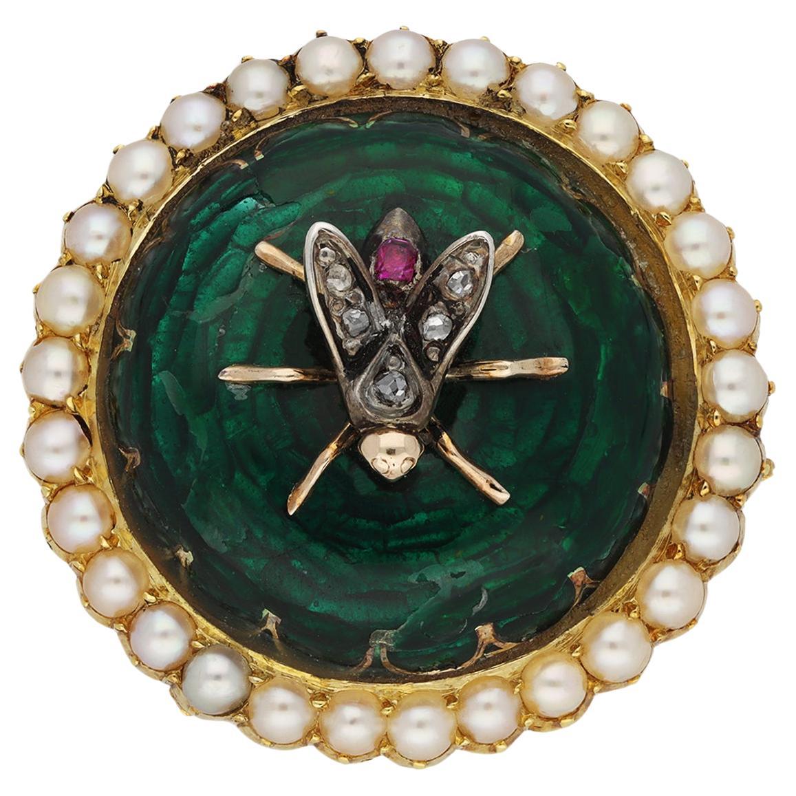 Victorian enamel bug brooch, Engish, circa 1890. 