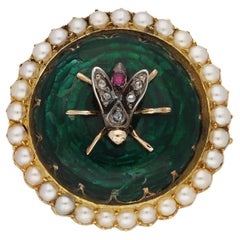Antique Victorian enamel bug brooch, Engish, circa 1890. 