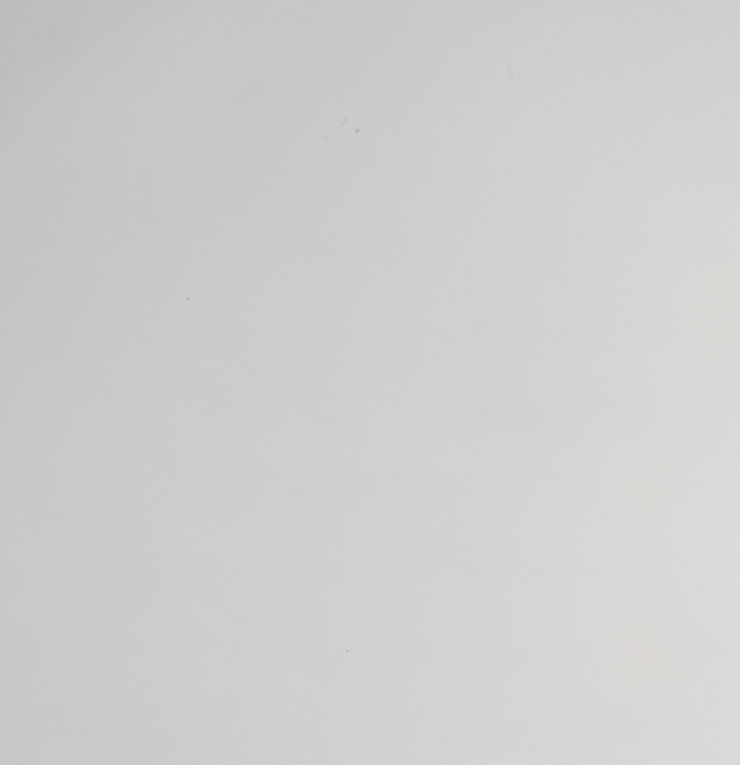 Viktorianisches Emaille-Rosen-Medaillon im Zustand „Hervorragend“ im Angebot in New York, NY