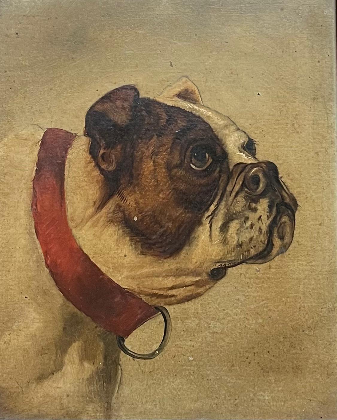 The English Bull Dog Victorian 19th Century English Dog Painting, framed oil - Brown Animal Painting by Victorian English