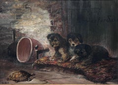 Olio inglese del XIX secolo firmato Cuccioli in un fienile che guardano una tartaruga sul pavimento