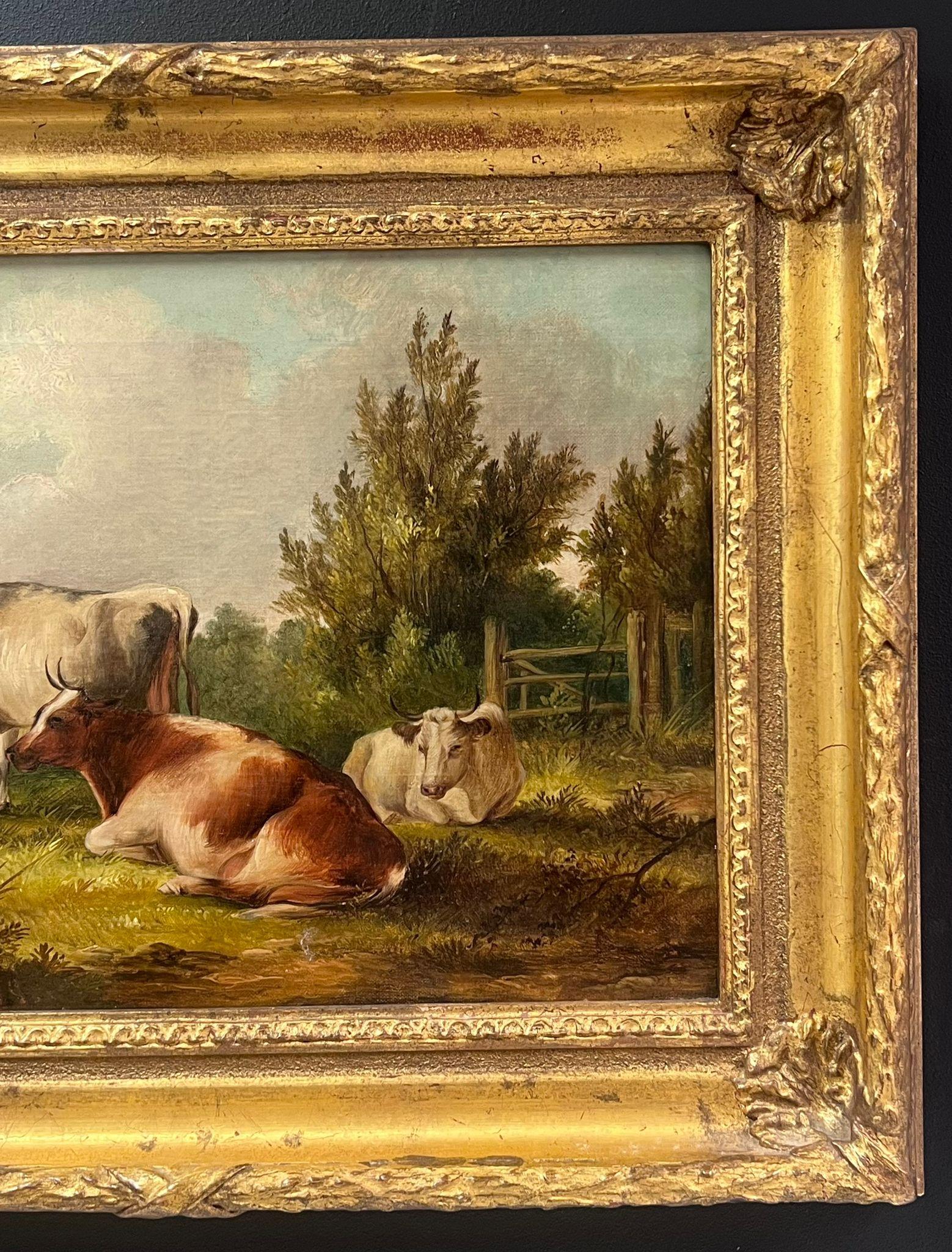 Bestiame che riposa in un paesaggio pastorale tranquillo, olio inglese firmato e datato 5