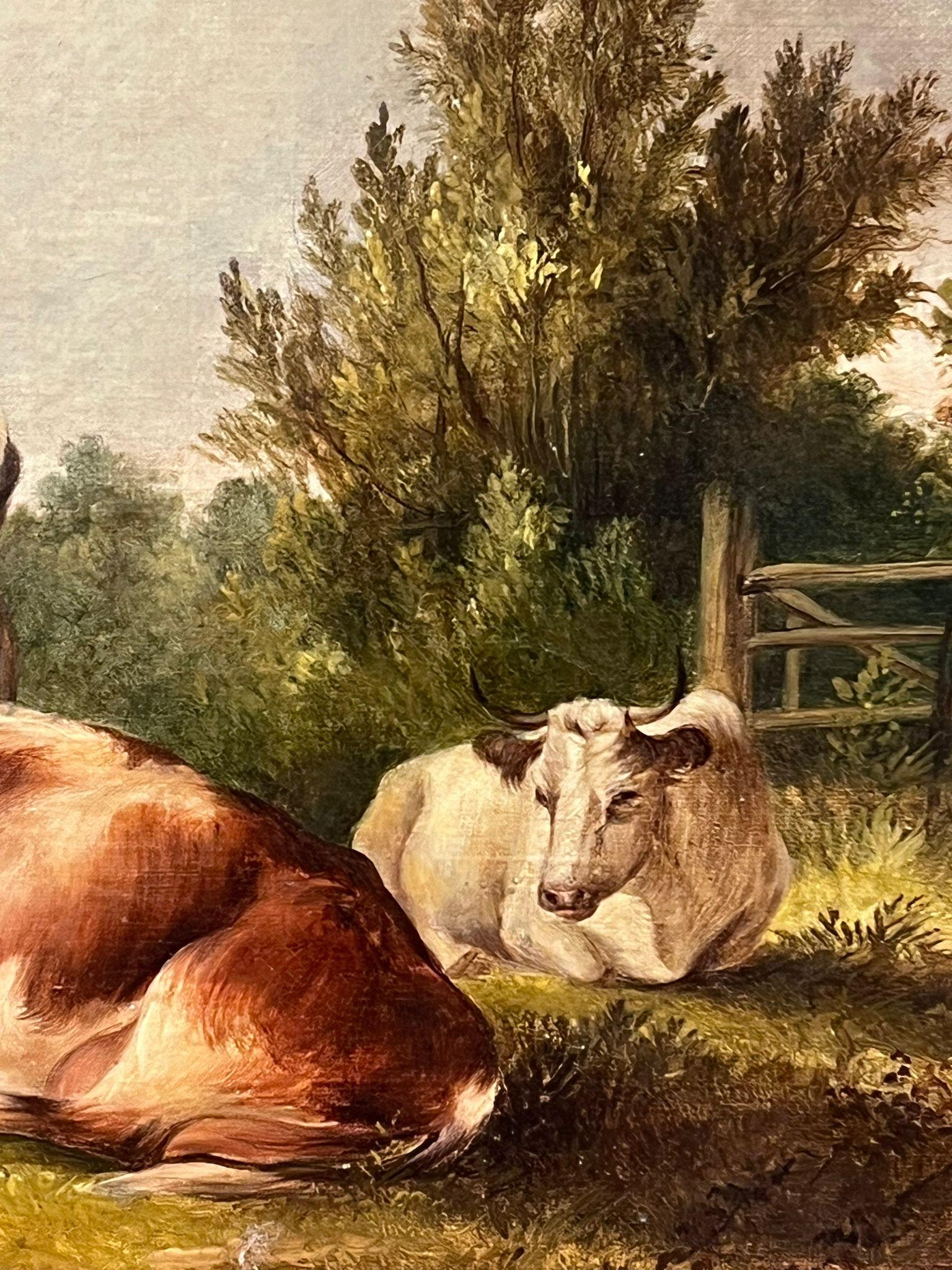 Bestiame che riposa in un paesaggio pastorale tranquillo, olio inglese firmato e datato 2