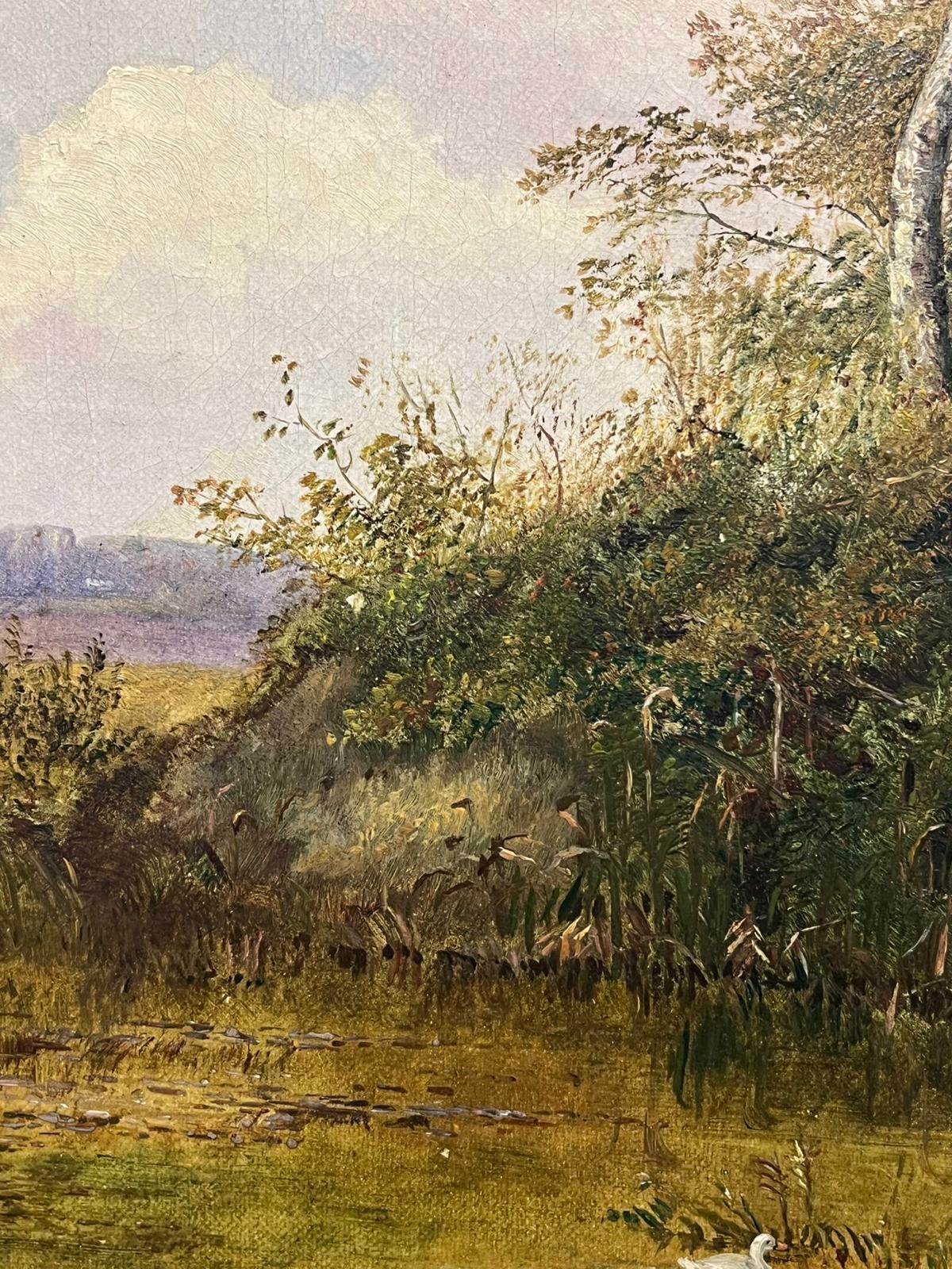 The Village Duck Pond
by W. Cartwright (British exhibited between 1875-1899)
signed and dated 1860's
oil on canvas, framed
framed: 18 x 14.5 inches
canvas: 15.5 x 12 inches
provenance: private collection, England
condition: very good and sound