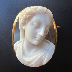 Viktorianische Ära 18K Gold hohe Relief Achat Kamee Brosche