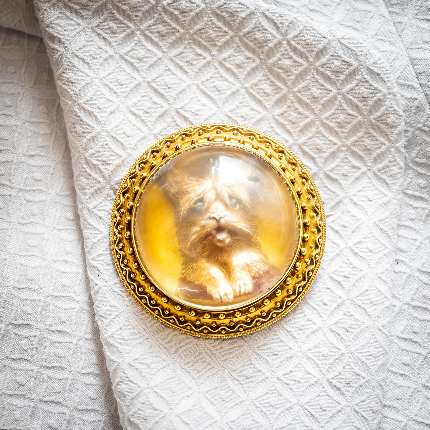 A Victorian reverse crystal Norwich terrier dog brooch, within a gold Etruscan style frame, with a clear locket back containing a portrait of a gentleman, circa 1880.

The brooch measures approximately 51mm in diameter.