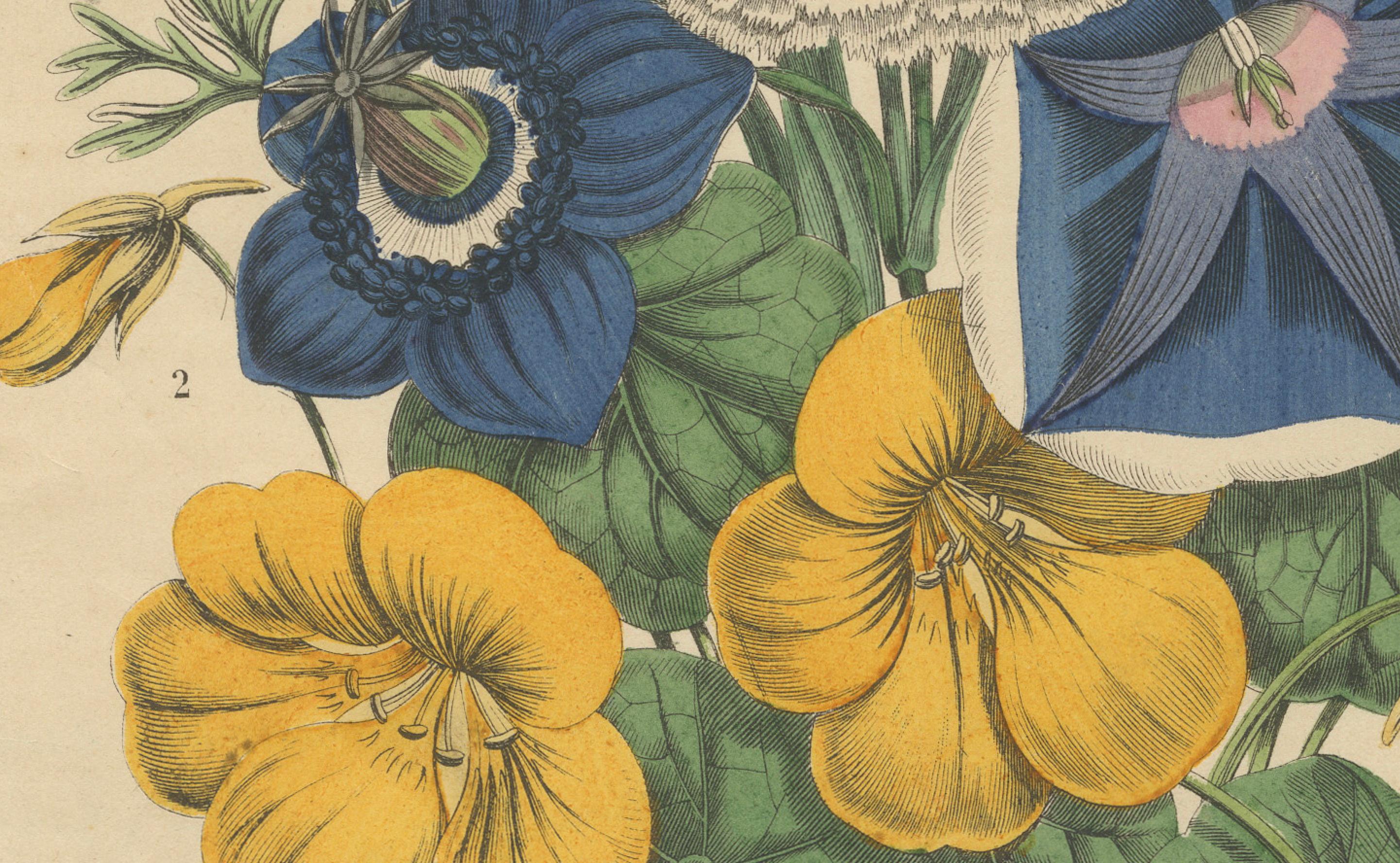 Viktorianischer Blumenstrauß mit Gartenblüten aus dem Book of Worlds, 1863 im Zustand „Gut“ im Angebot in Langweer, NL