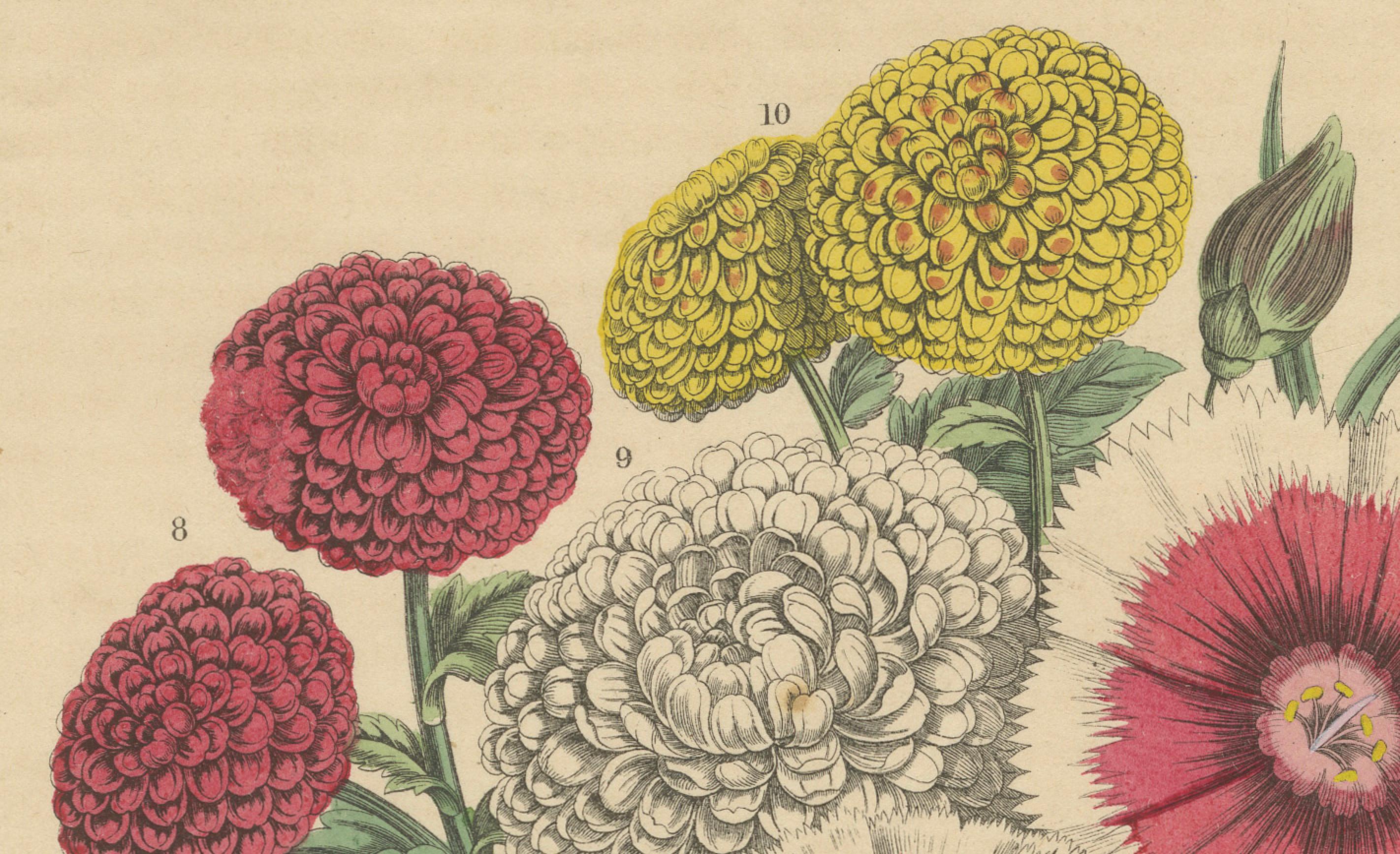 Viktorianischer Blumenstrauß mit Gartenblüten aus dem Book of Worlds, 1863 (Mittleres 19. Jahrhundert) im Angebot
