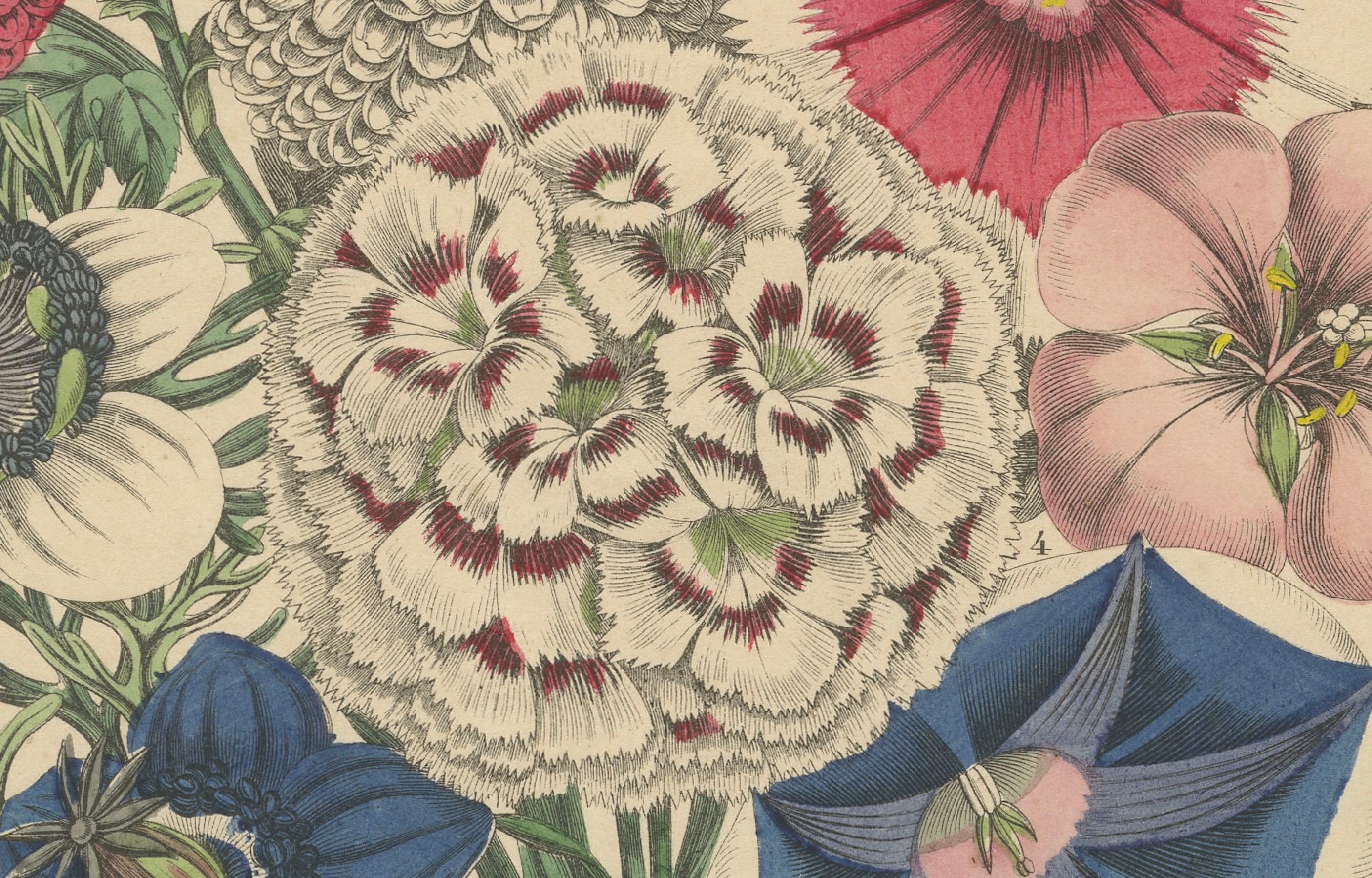 Viktorianischer Blumenstrauß mit Gartenblüten aus dem Book of Worlds, 1863 (Papier) im Angebot
