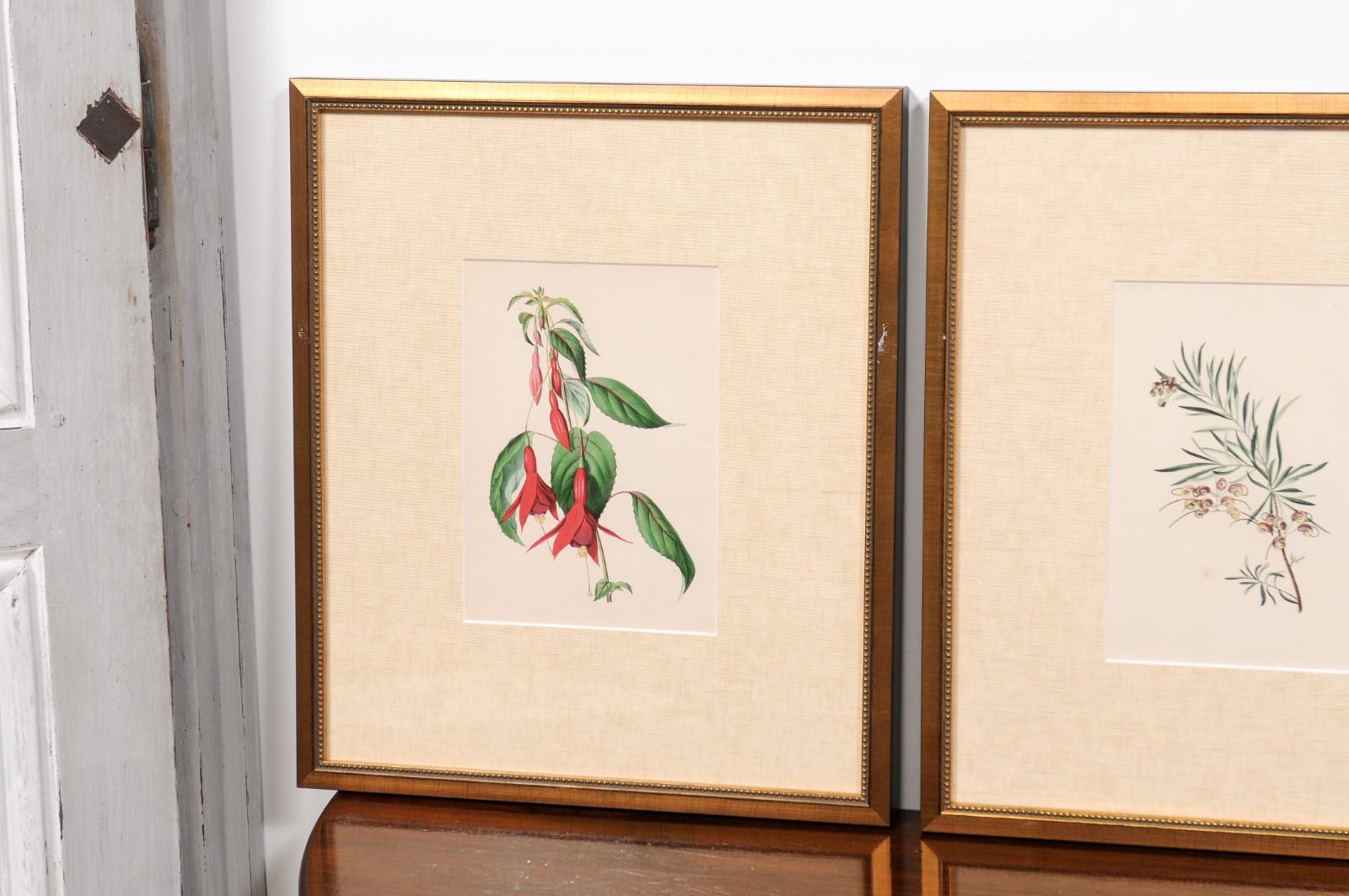  Victorian Floral Prints from The Museum of Flowers by Mary Elizabeth Rosenberg For Sale 5