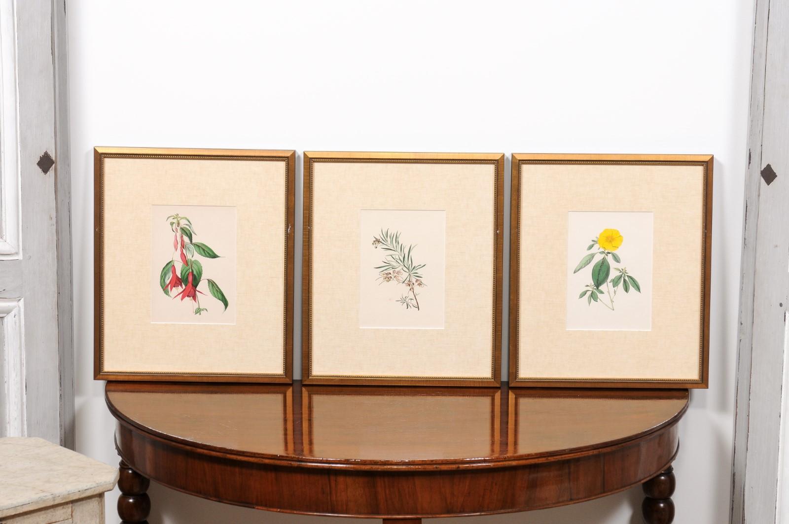  Victorian Floral Prints from The Museum of Flowers by Mary Elizabeth Rosenberg For Sale 6