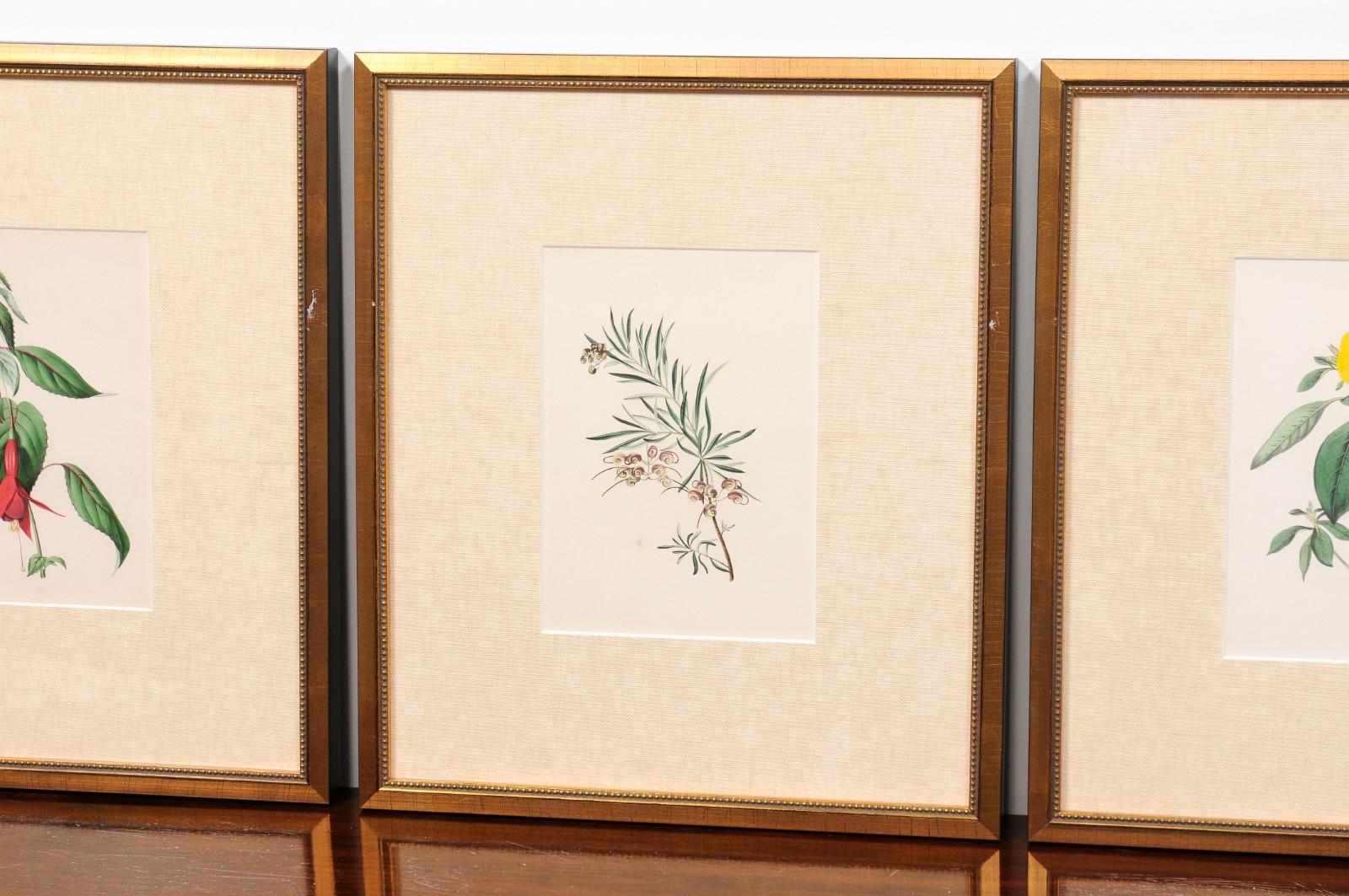  Victorian Floral Prints from The Museum of Flowers by Mary Elizabeth Rosenberg For Sale 7