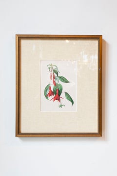 Victorian Floral Prints from The Museum of Flowers by Mary Elizabeth Rosenberg