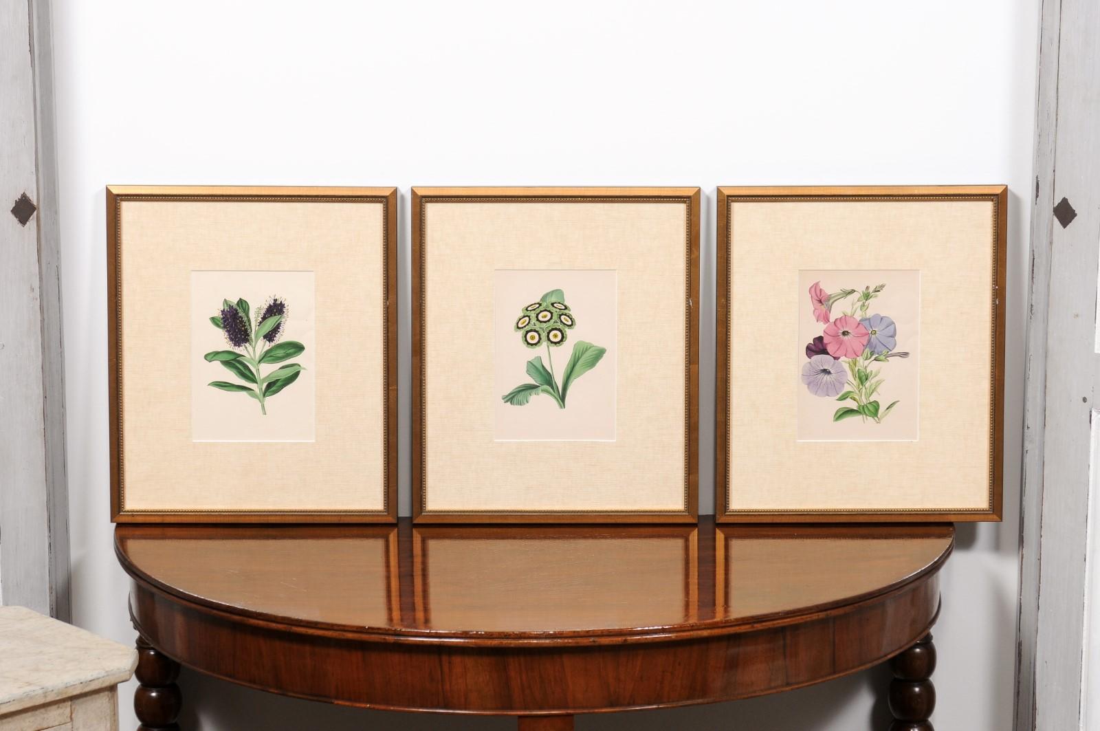  Victorian Floral Prints from The Museum of Flowers by Mary Elizabeth Rosenberg For Sale 9