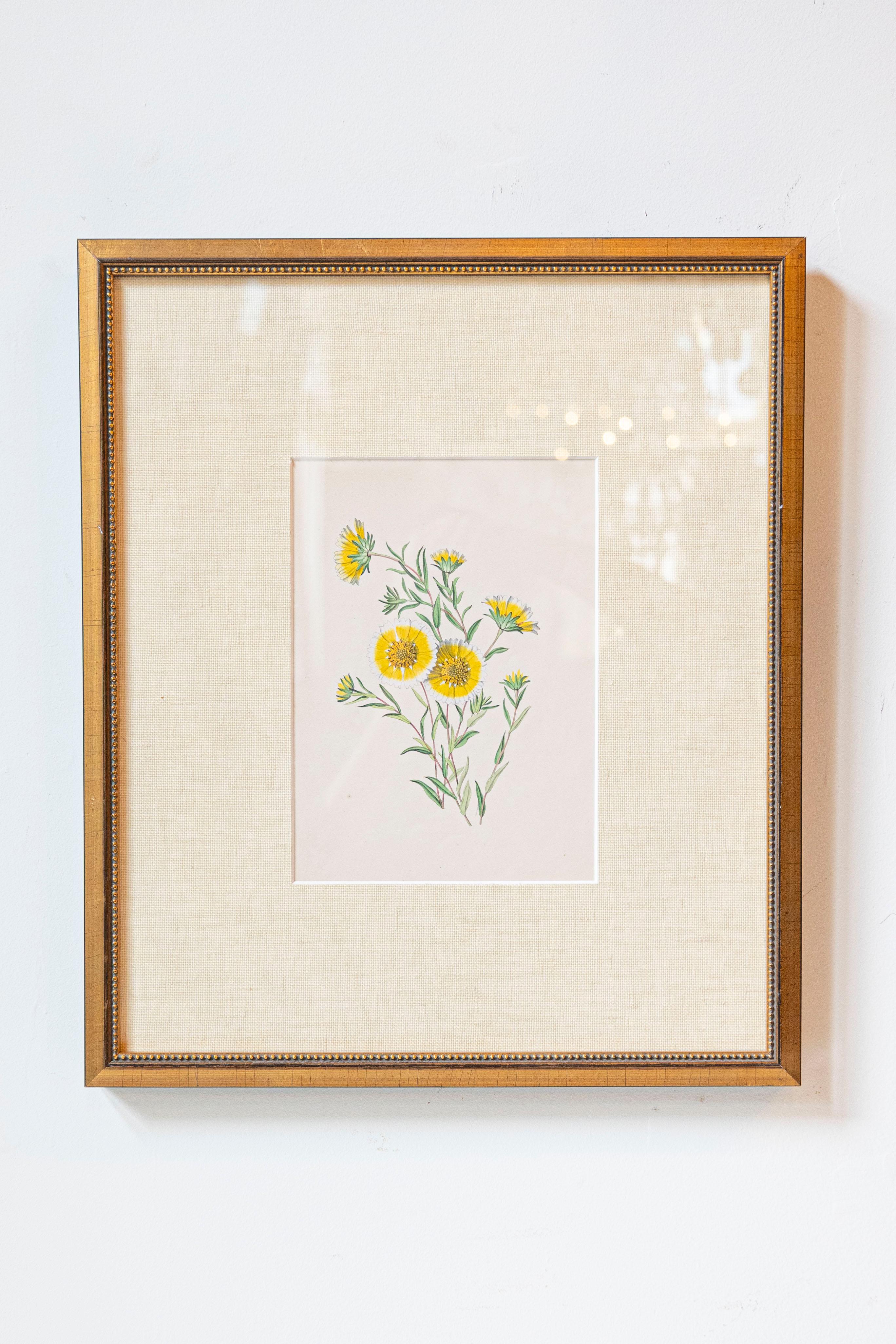 Estampas florales victorianas del Museo de las Flores por Mary Elizabeth Rosenberg Vidrio en venta