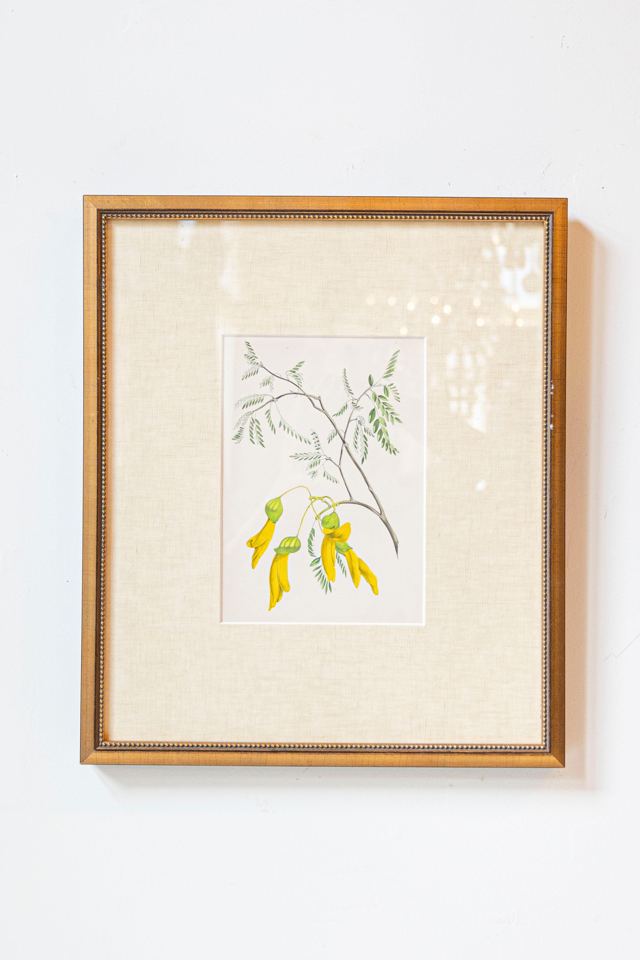 Estampas florales victorianas del Museo de las Flores por Mary Elizabeth Rosenberg en venta 1
