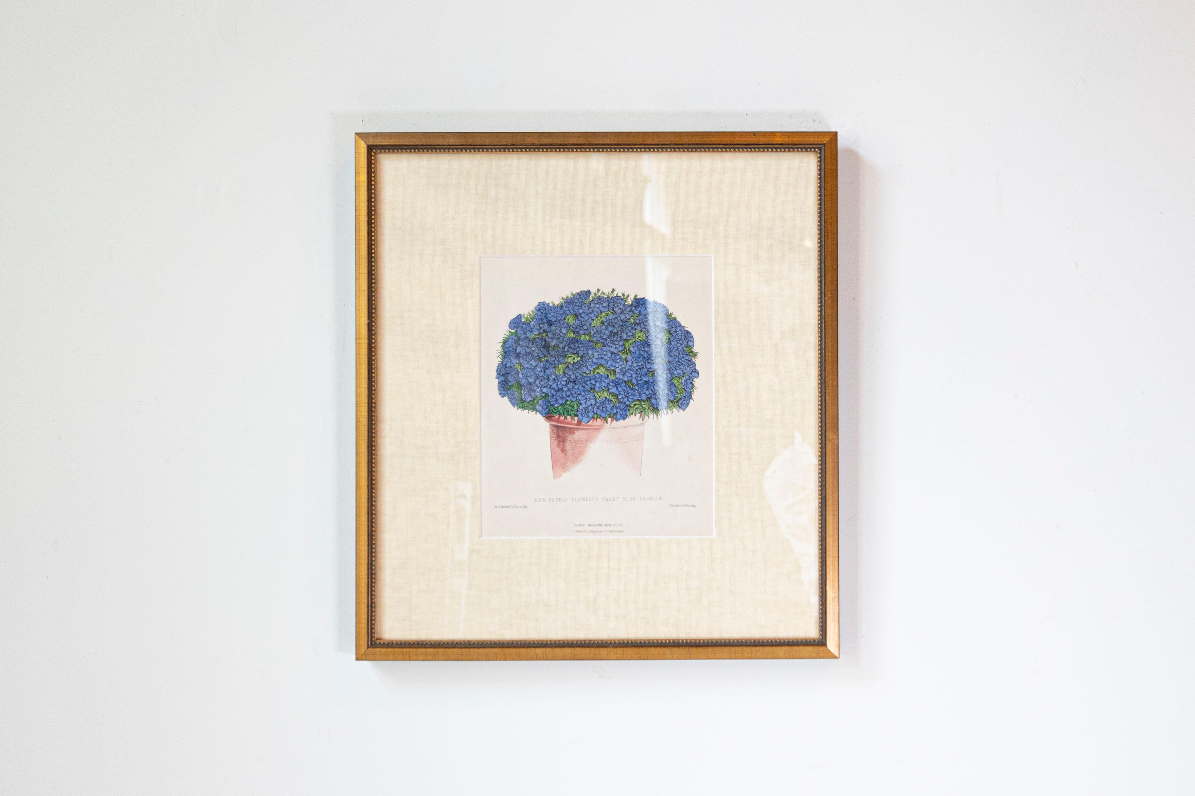 Estampas florales victorianas del Museo de las Flores por Mary Elizabeth Rosenberg en venta 5
