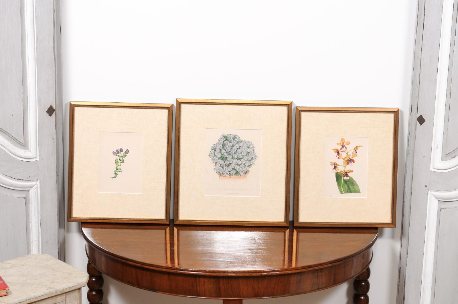 English  Victorian Floral Prints from The Museum of Flowers by Mary Elizabeth Rosenberg For Sale