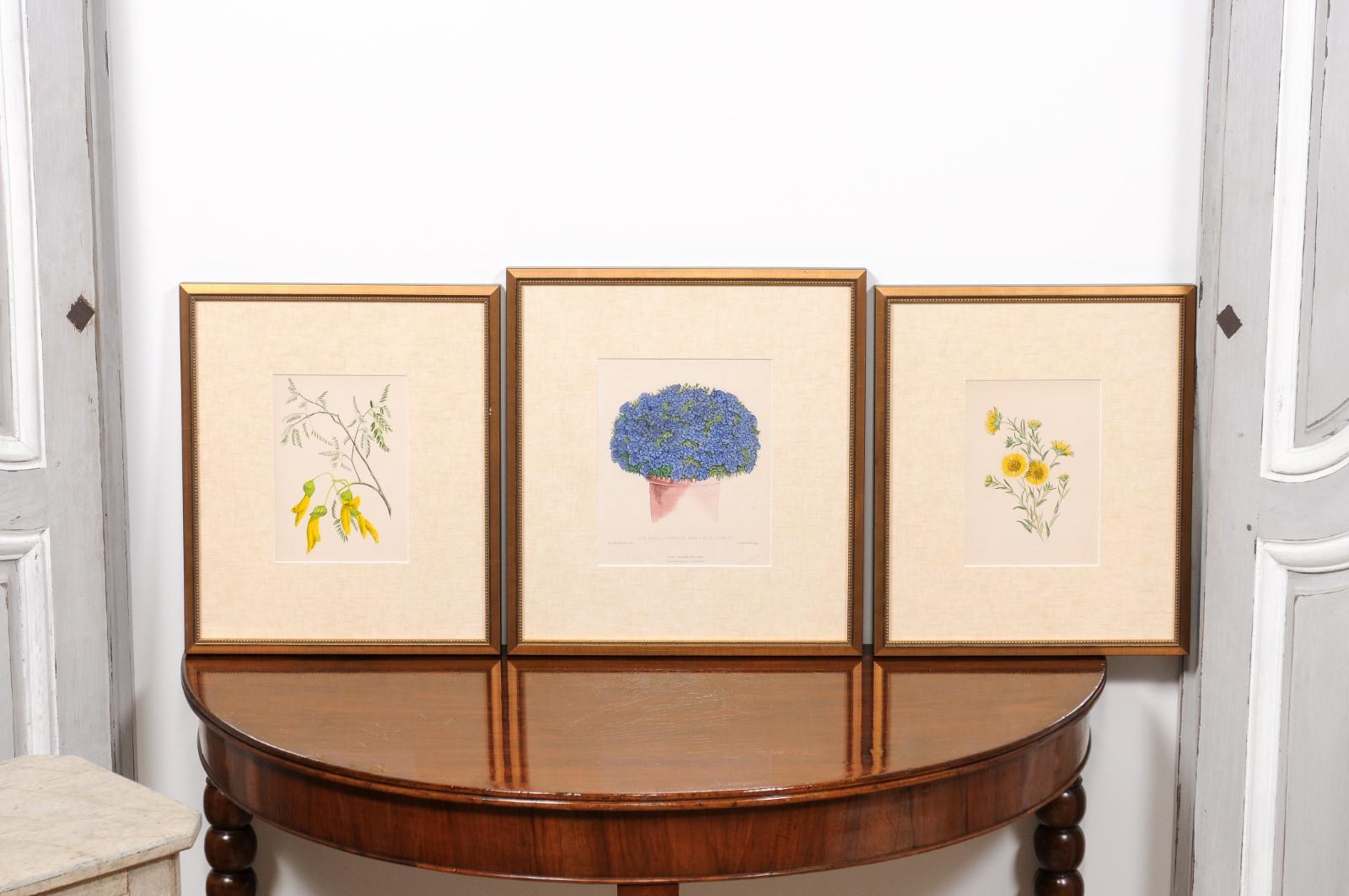  Victorian Floral Prints from The Museum of Flowers by Mary Elizabeth Rosenberg In Good Condition For Sale In Atlanta, GA