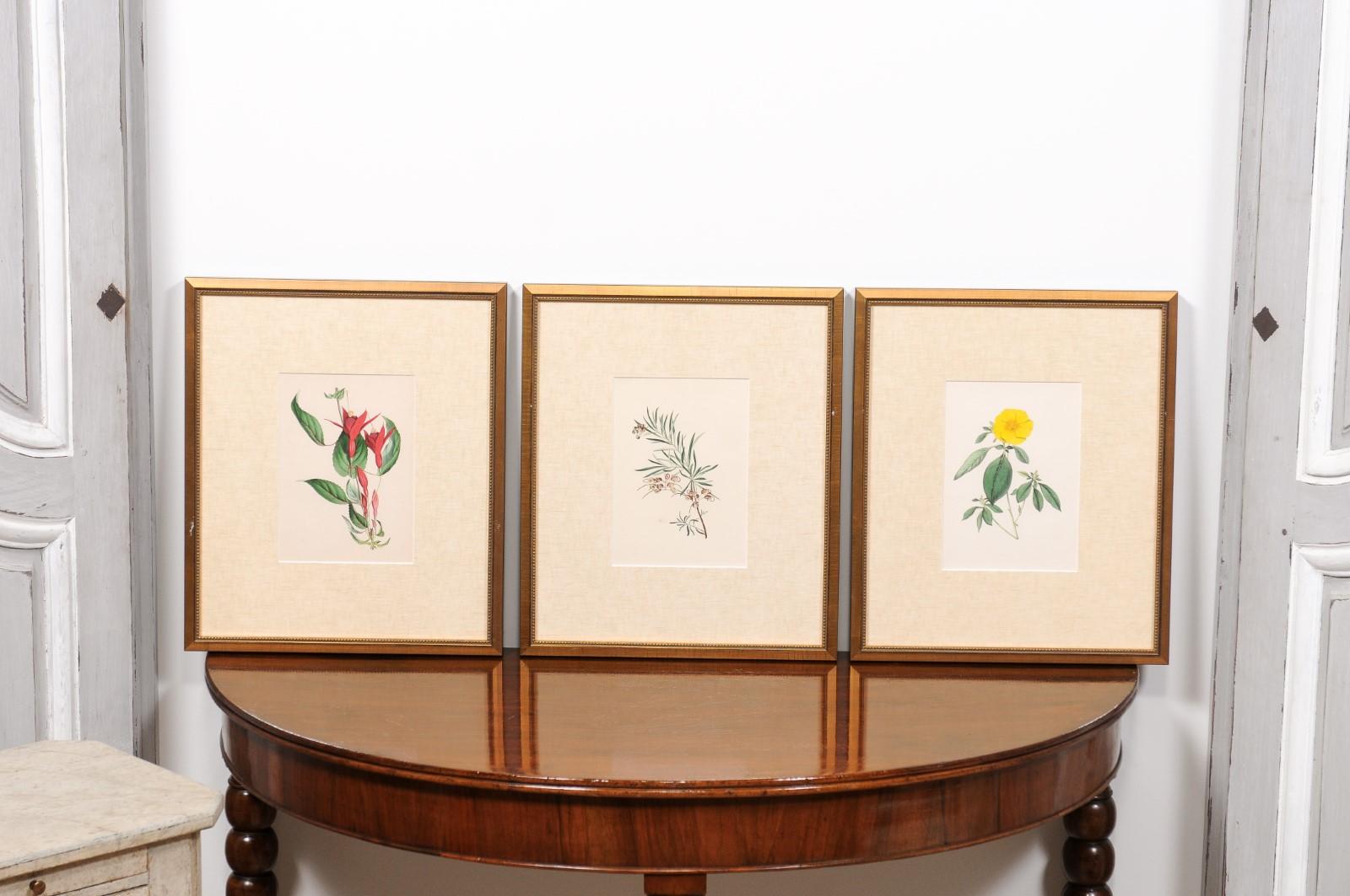Glass  Victorian Floral Prints from The Museum of Flowers by Mary Elizabeth Rosenberg For Sale