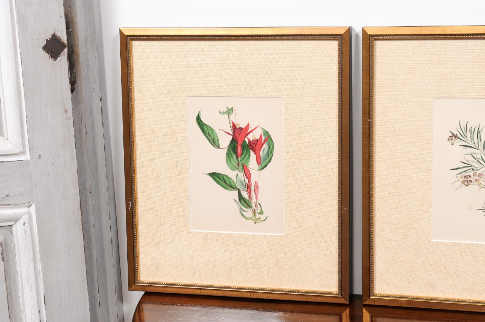  Victorian Floral Prints from The Museum of Flowers by Mary Elizabeth Rosenberg For Sale 1