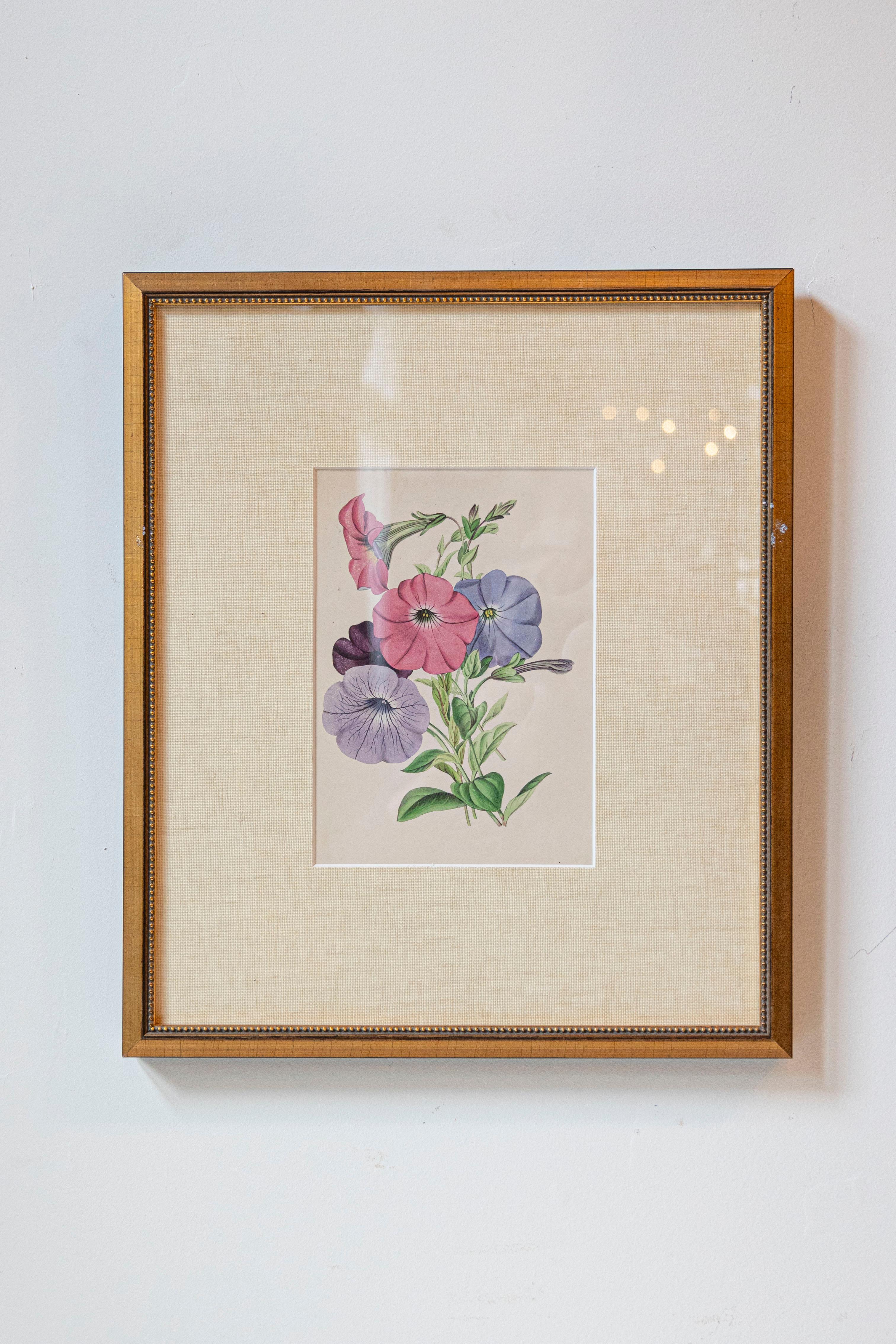Estampas florales victorianas del Museo de las Flores por Mary Elizabeth Rosenberg Inglés en venta