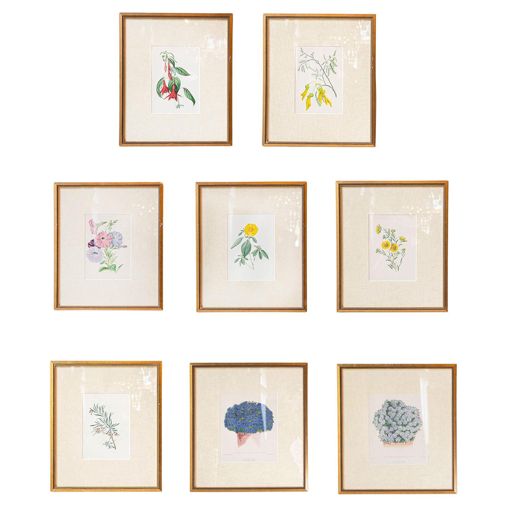 Estampas florales victorianas del Museo de las Flores por Mary Elizabeth Rosenberg en venta