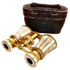 Shell Collectibles and Curiosities