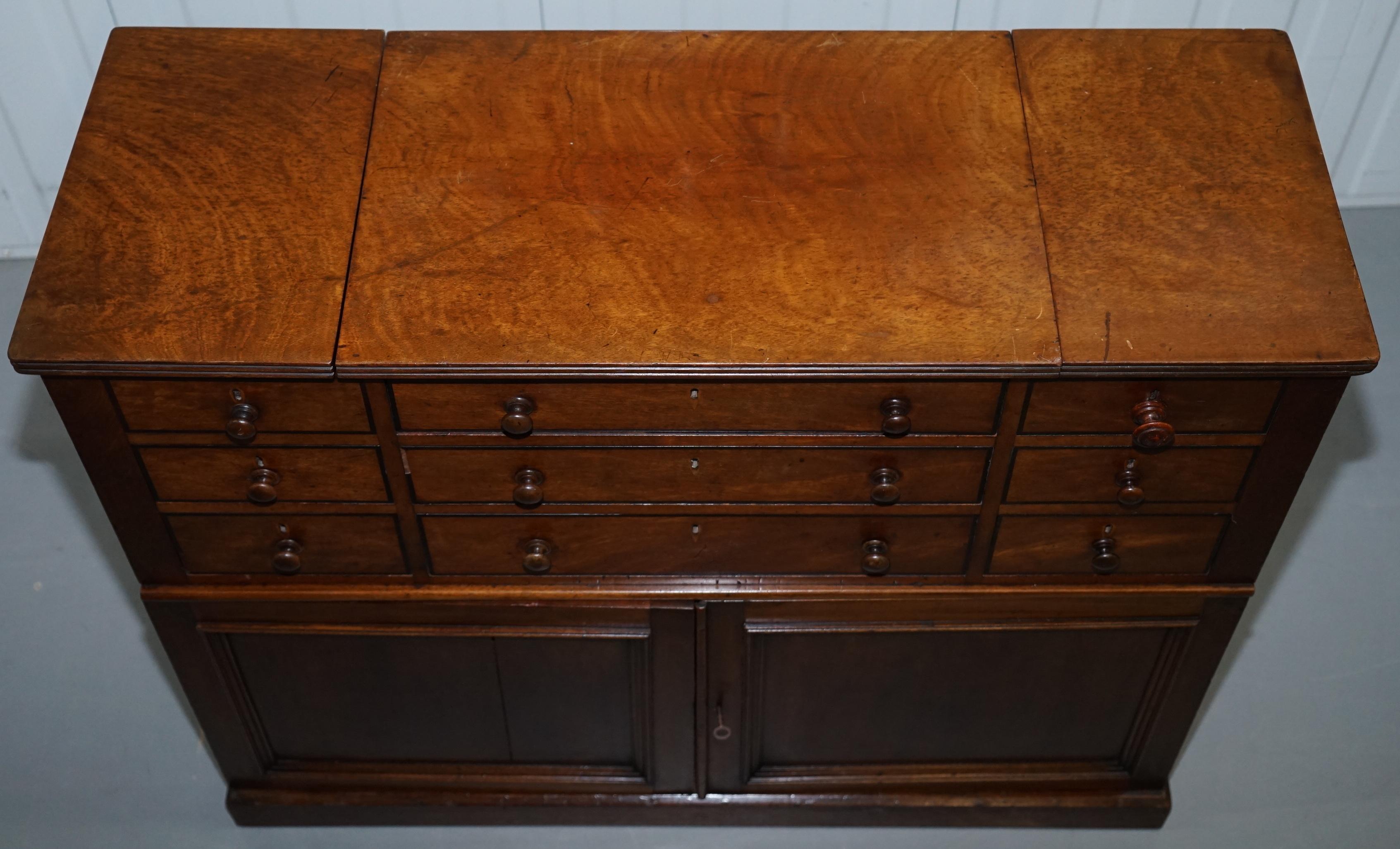 Hand-Carved Victorian Fruitwood Collectors Chest of Drawers Cupboard Sideboard Open Flat Top