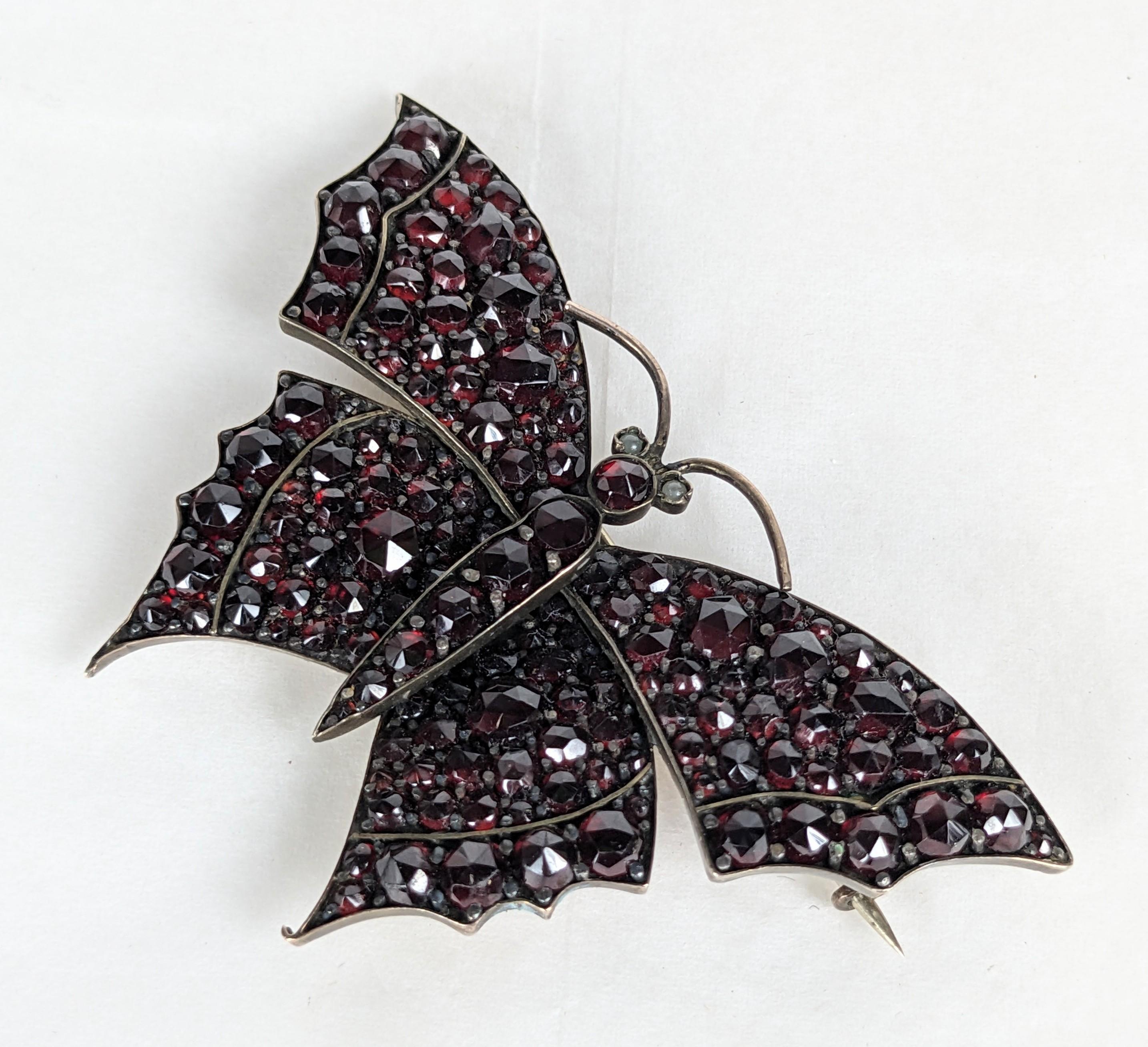 Rose Cut Victorian Garnet Butterfly Brooch For Sale